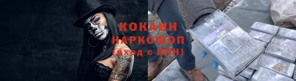 spice Новозыбков