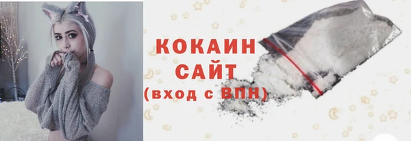 2c-b Бикин