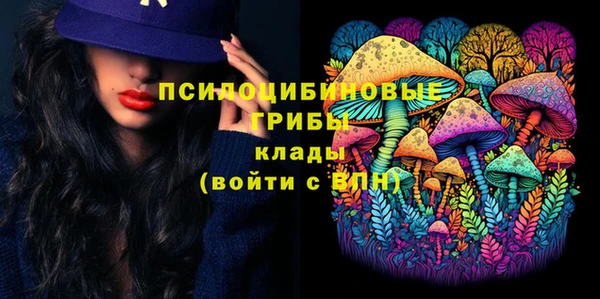 spice Новозыбков