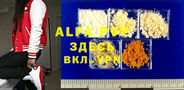 индика Нязепетровск
