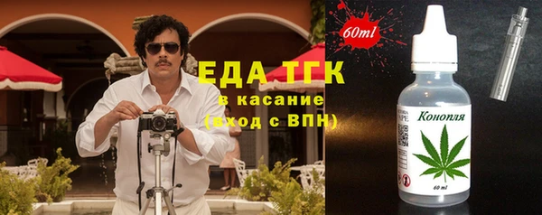 индика Нязепетровск