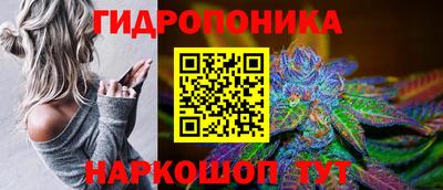 гидра Волжск