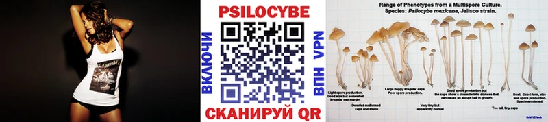 Псилоцибиновые грибы прущие грибы  Дзержинск 