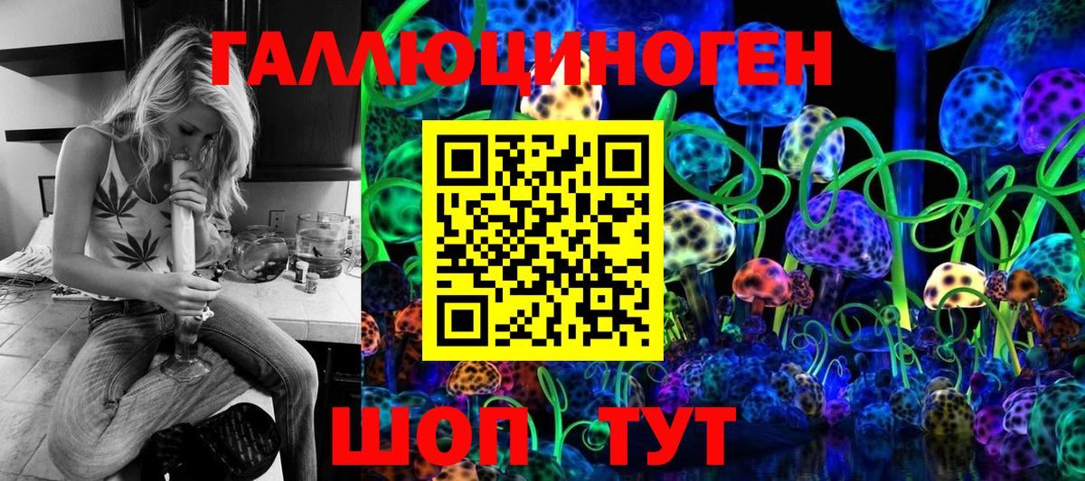 Галлюциногенные грибы Cubensis Дзержинск