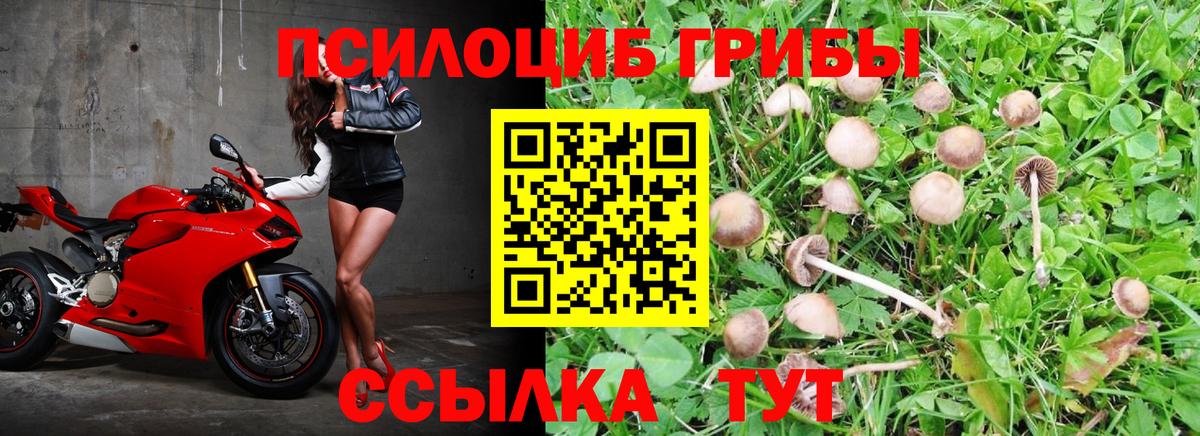 Галлюциногенные грибы Magic Shrooms Дзержинск