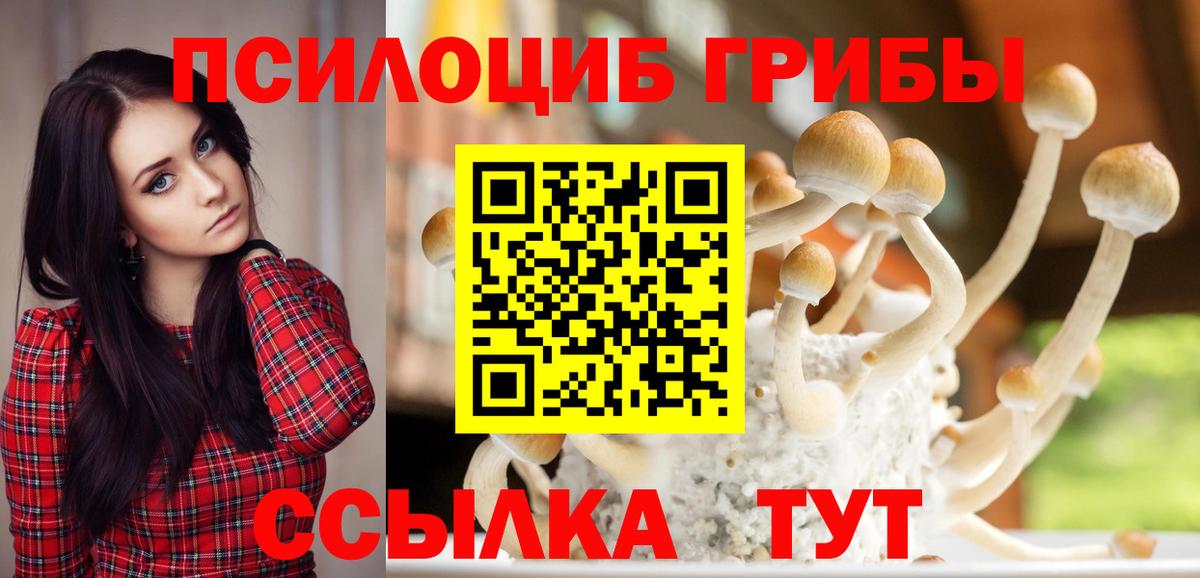 Дзержинск  Псилоцибиновые грибы ЛСД  Вход с VPN 